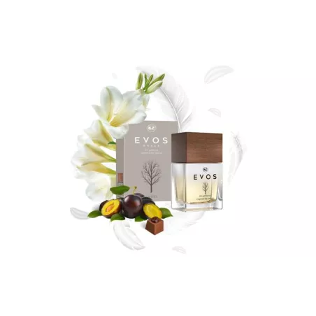 K2 Evos Grace Angel Auto Parfüm 50ml (Flakon)