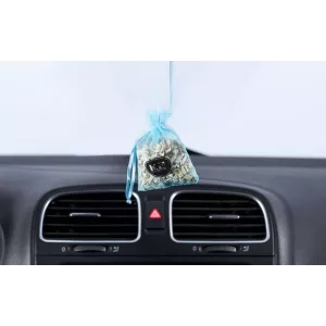 K2 Roko Green Tea Car Air Freshener (Sachet)
