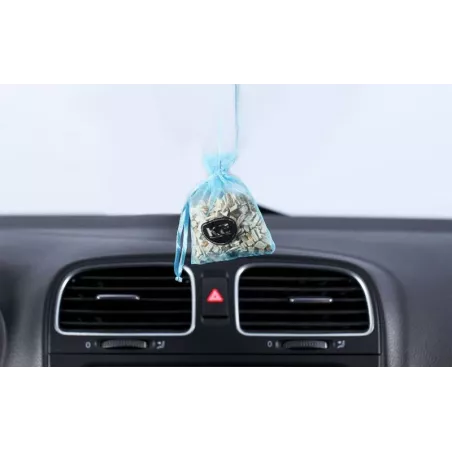 K2 Roko Océano Aromatizante para Coche (Bolsita)