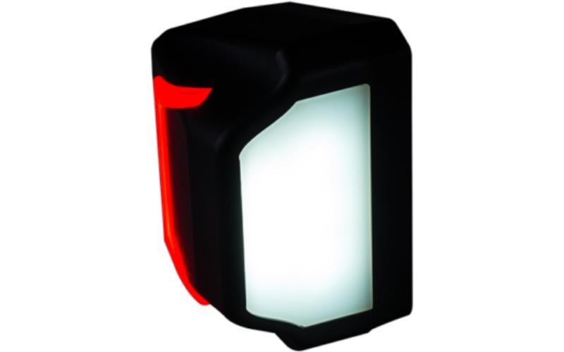 Kennzeichenbeleuchtung Mit Positionslicht (Neon) (LED) Weiß - Rot 12 / 24V Universal