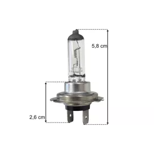 Ampoule H7 24V 70W PX26D Dorée
