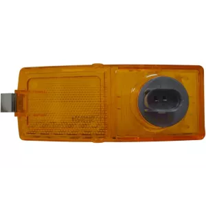 Scania Series R Side Turn Signal Lamp