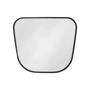 SCANIA SPIEGEL WEITWINKELSPIEGELGLAS RECHTS / LINKS