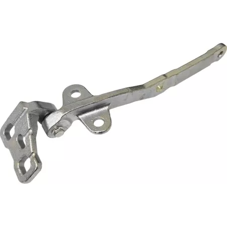 Volvo FM4 LH Front Panel Hinge
