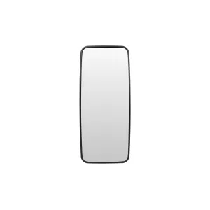 Mercedes Actros Mirror Glass