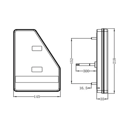 Tail Lamp LED 5-function With Triangle RH