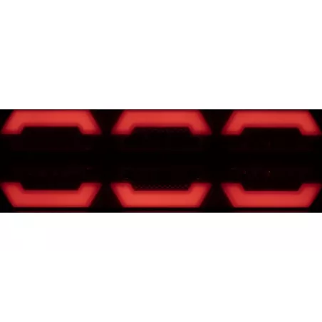 Lampa Zespolona Tylna LED Neon
