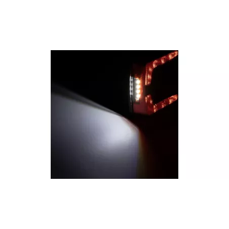 Rückleuchte LED 12 / 24V Mit Bajonettanschluss Rechts