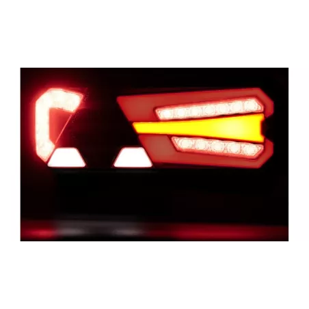 Piloto Trasero LED 12 / 24V con Reflector Dch