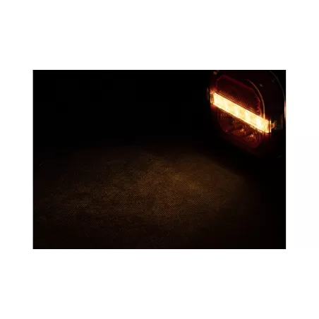 Piloto Trasero LED Neon2 12 / 24V (Universal) Dch