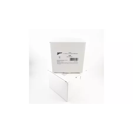 LED Reverse Lamp