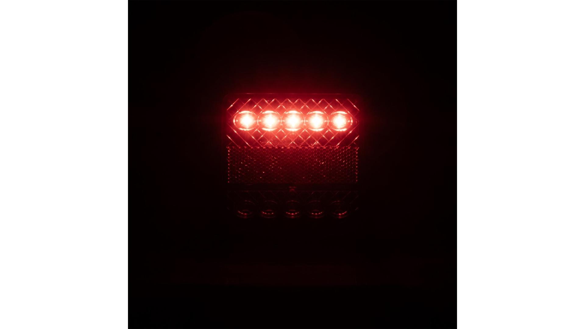 Tail Lamp 10 X LED 12V (Flat)