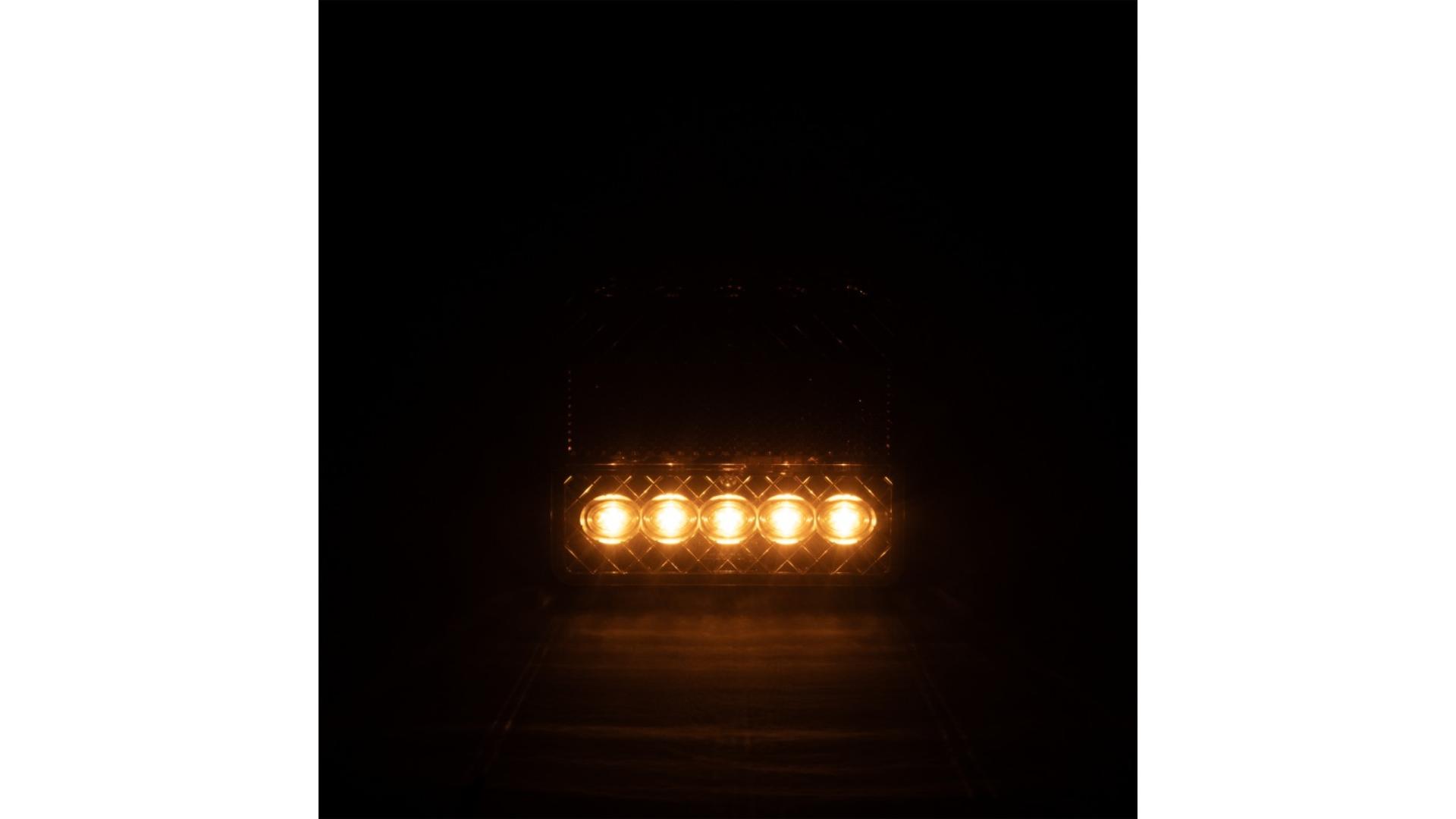 Tail Lamp 10 X LED 12V (Flat)