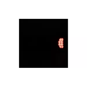 Piloto Trasero LED con Intermitente Dinámico + Triángulo Dch