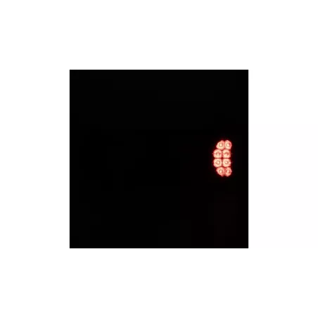Feu Arrière LED Avec Clignotant Dynamique + Triangle Droit