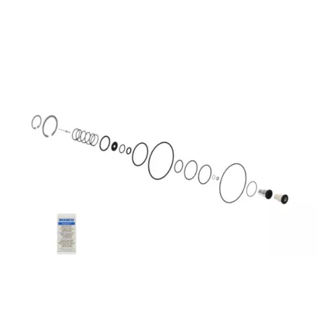 Valve Repair Kit