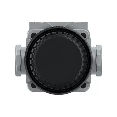 Renault Quick Release Valve