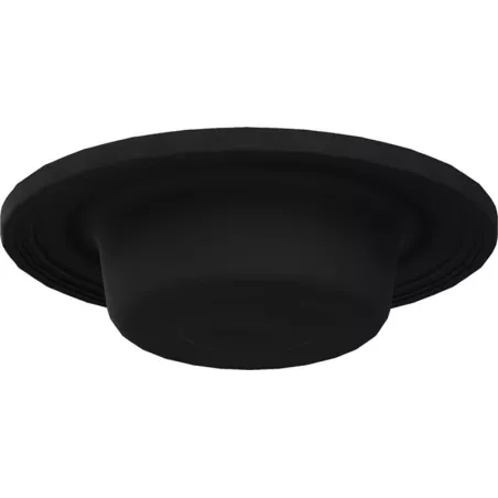 Diaphragme de Frein