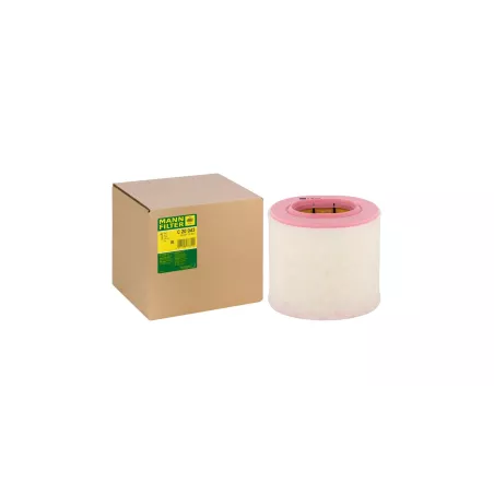 Filtro de Aire Fiat Ducato 2007