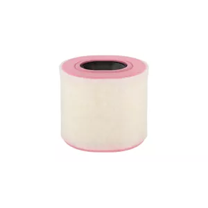 Filtro de Aire Fiat Ducato 2007