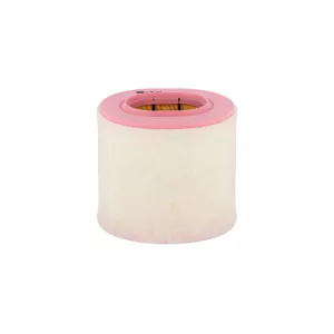 Filtro de Aire Fiat Ducato 2007