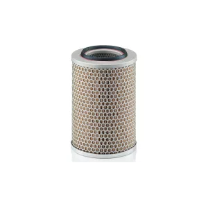 LUFTFILTER FENDT / VOLKSWAGEN