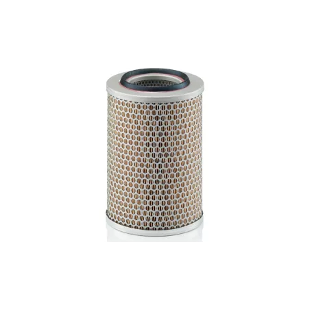 Air Filter Fendt / Volkswagen
