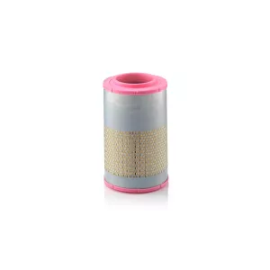 Filtro de Aire DAF LF45 / LF55