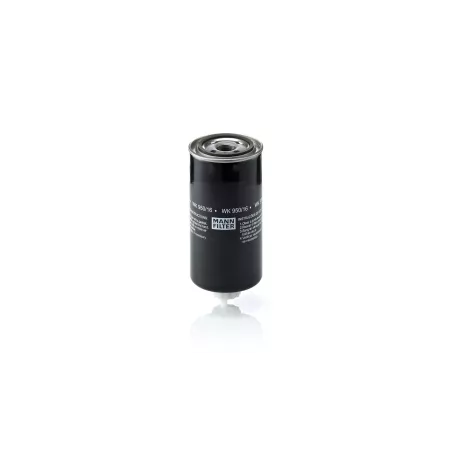 Kraftstofffilter Ford Cargo / Iveco Daily / Thermo King