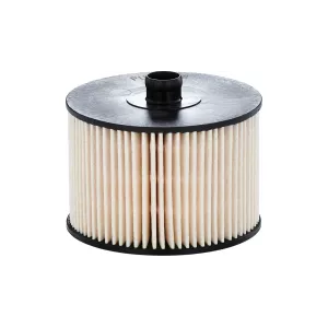 Fuel Filter Ford / Citroen / Fiat / Peugeot