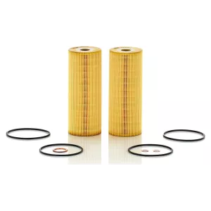 Oil Filter Setra