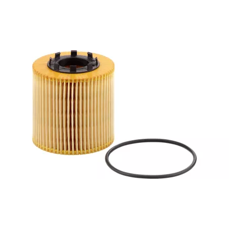 Filtro de Aceite Nissan / Opel / Renault