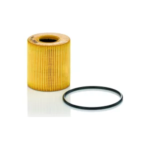 Filtro de Aceite Fiat Ducato / Peugeot Boxer