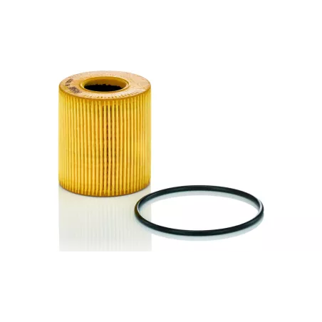 Filtro de Aceite Fiat Ducato / Peugeot Boxer