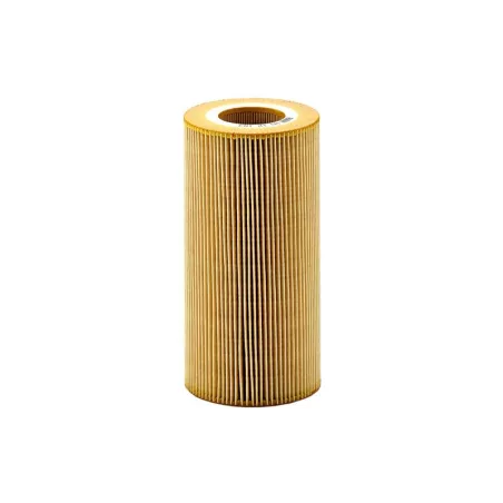 Filtre à Huile DAF XF105 / XF106 / CF85 / Cf86