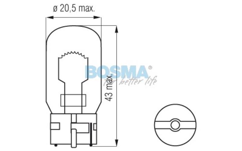 Bosma Ampoule 12V 21W W21W T20d