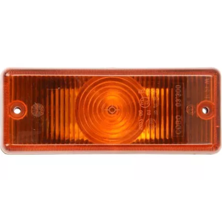 Iveco Eurotrakker / Eurotech Turn Signal Lamp LH