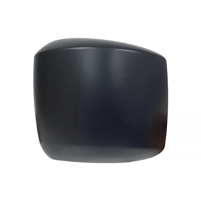Iveco Stralis (2007-) Panoramic Mirror Cover RH