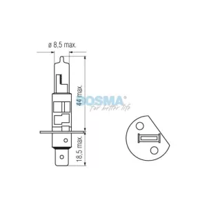 Bosma Bulb 24V 70W H1 P14.5s
