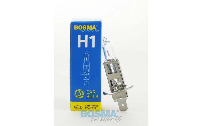 Bosma Glühlampe 24V 100W H1 P14,5s Rally