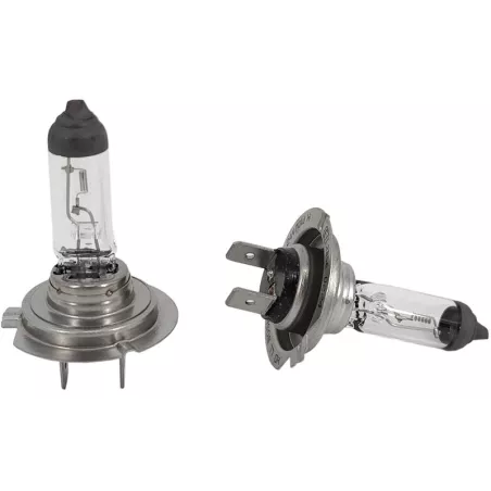 Bosma Bombilla 24V 75 / 70W H4 P43t (2 Unidades)