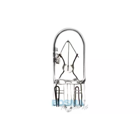 Bosma Bombilla 24V 3W W3W T10