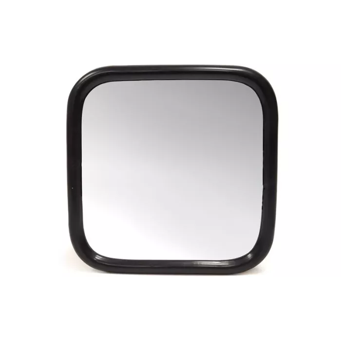 Mercedes 814 Panoramic Mirror