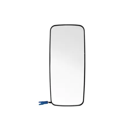 Mercedes Atego / Axor Mirror