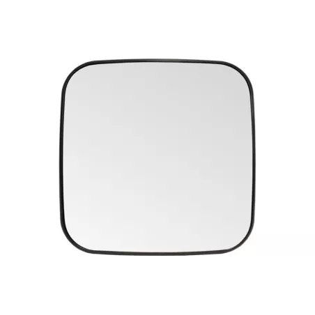 Mercedes Actros / Atego / Axor Panoramic Spiegel Insert