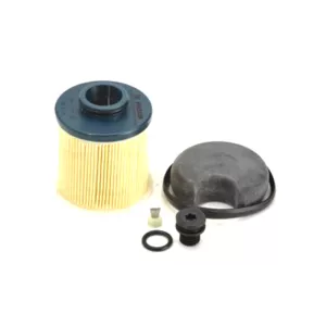 DAF / MAN / Scania Bosch Adblue Filter