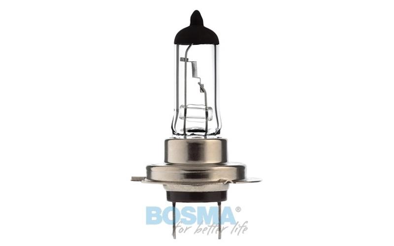 Bosma Ampoule 12V 55W H7 PX26D