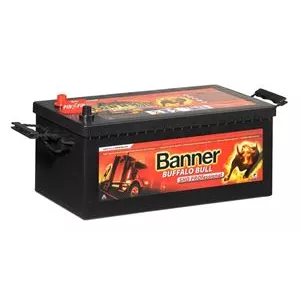 Batterie 12V 225ah Banner 1150a
