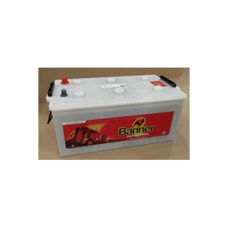 Battery 12V 225ah Banner 1050a