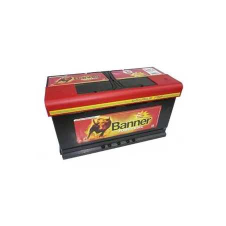 Battery 12V 95ah Banner 780a